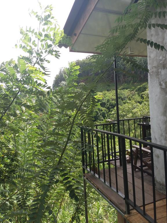 Green Lushy Home Stay Ella Exteriör bild